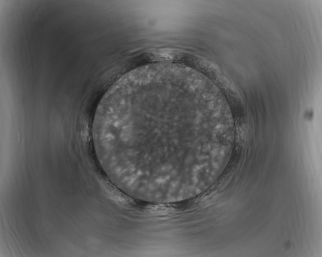 X0000097600331200803211705