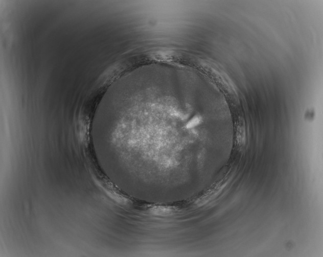 X0000097600332200803211705