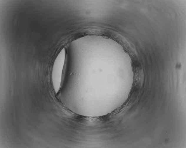 X0000097600333200803211705