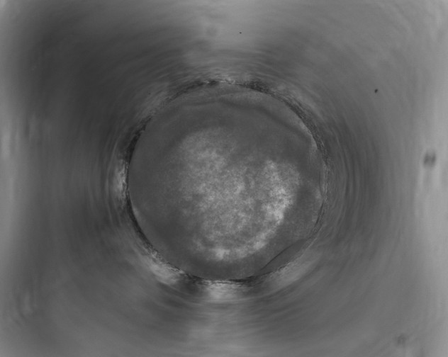 X0000097600336200803211705