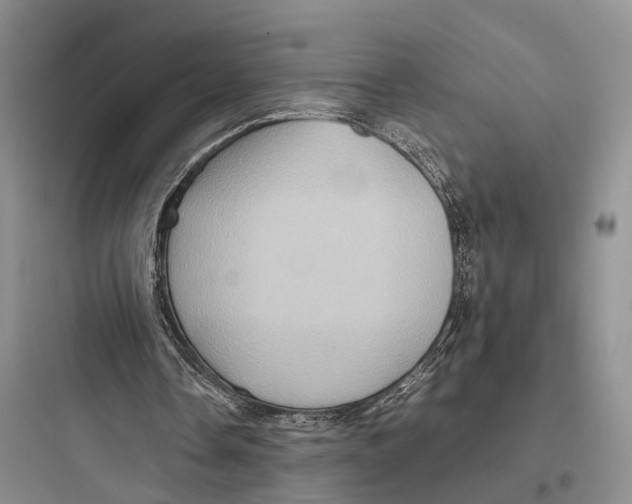 X0000097600338200803211704