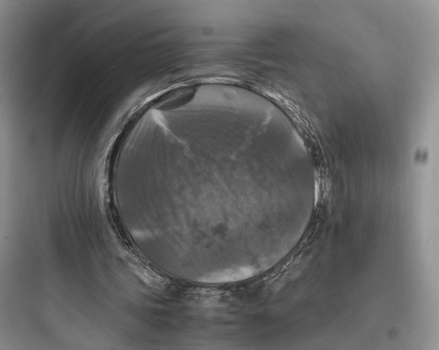 X0000097600339200803211704
