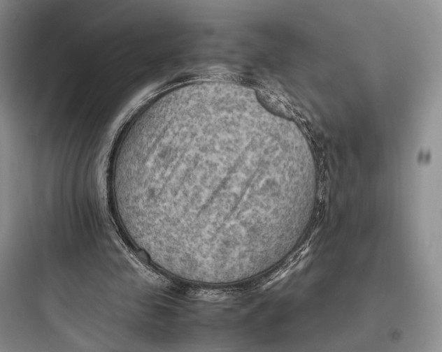 X0000097600341200803211704