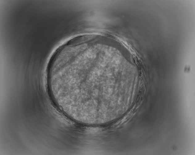 X0000097600342200803211704
