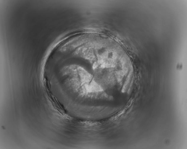 X0000097600343200803211704