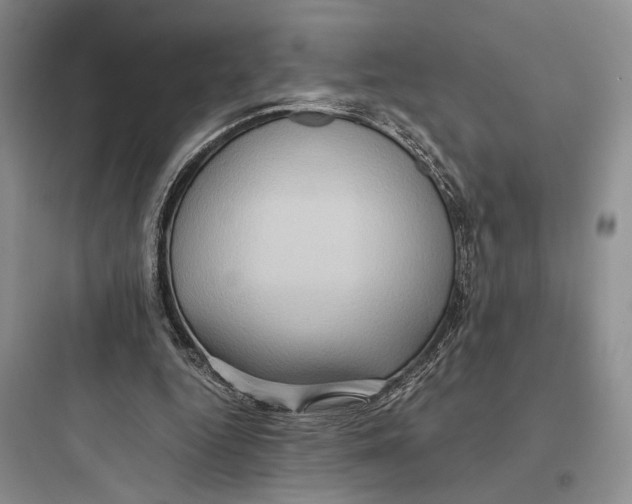 X0000097600344200803211704