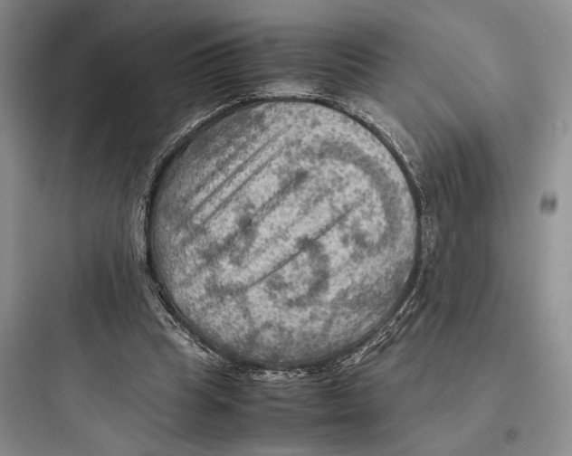 X0000097600345200803211704