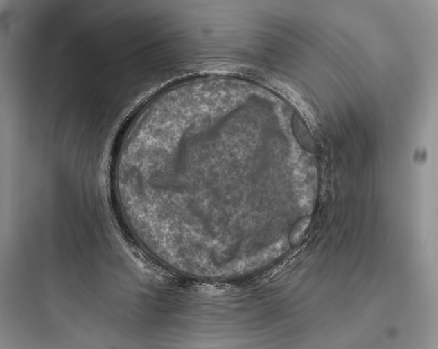 X0000097600346200803211704