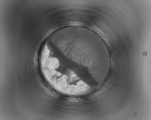 X0000097600347200803211704