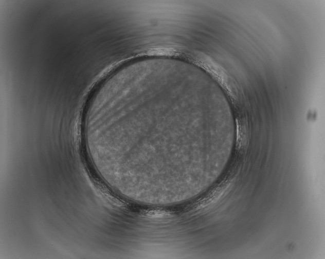 X0000097600348200803211704