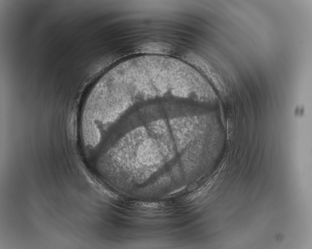 X0000097600349200803211704