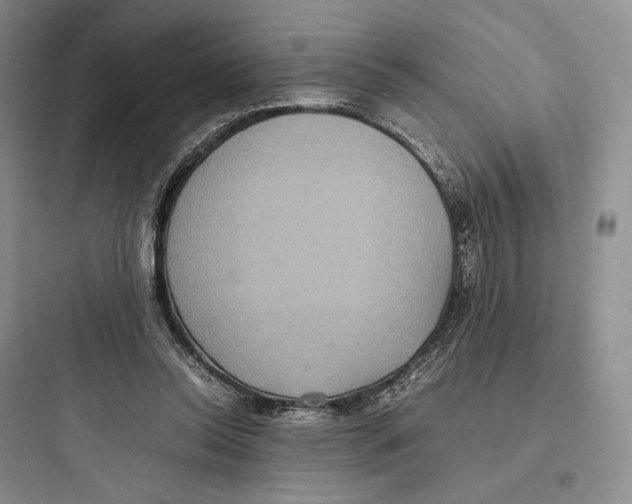 X0000097600350200803211704