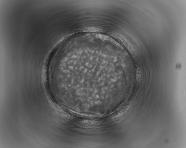 X0000097600351200803211704