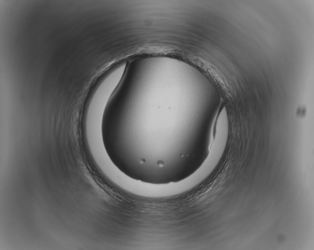 X0000097600352200803211704