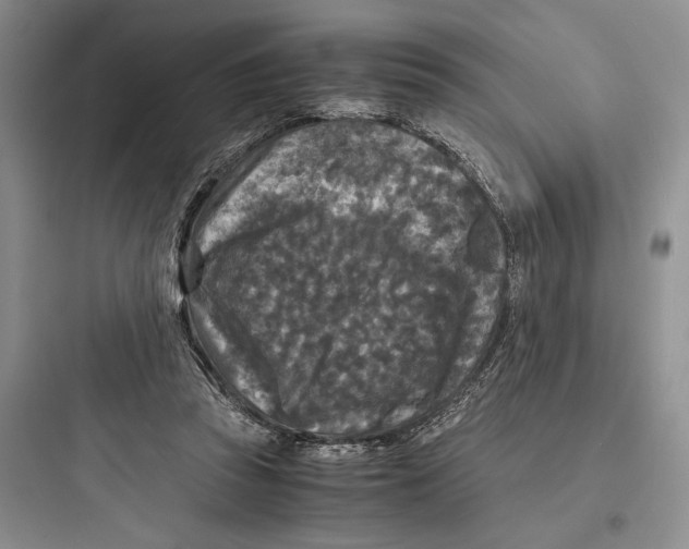 X0000097600353200803211704