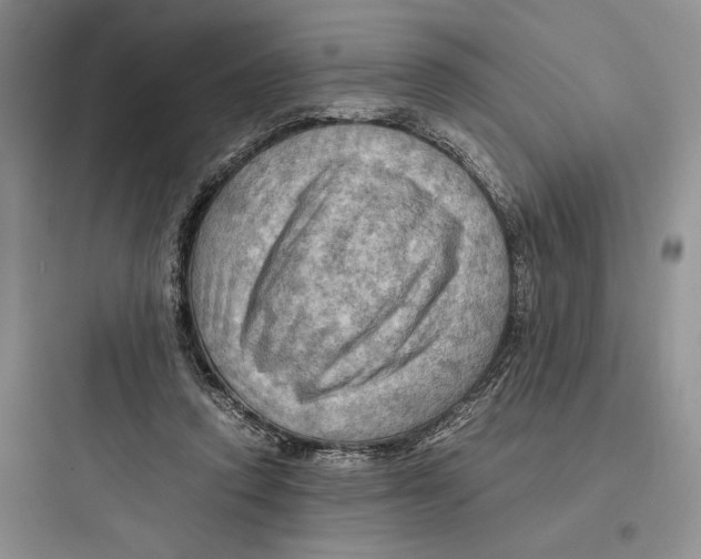 X0000097600354200803211704