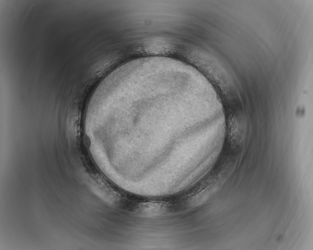 X0000097600356200803211704
