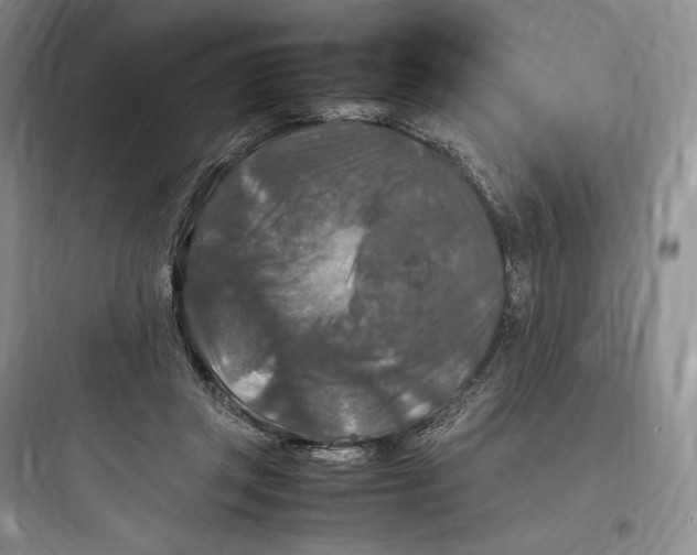X0000097600357200803211704