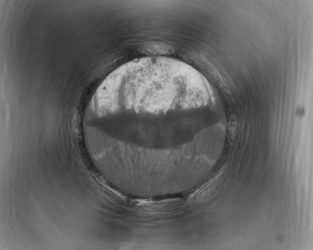 X0000097600359200803211705