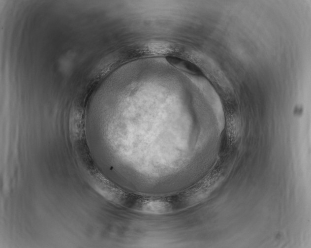 X0000097600360200803211705