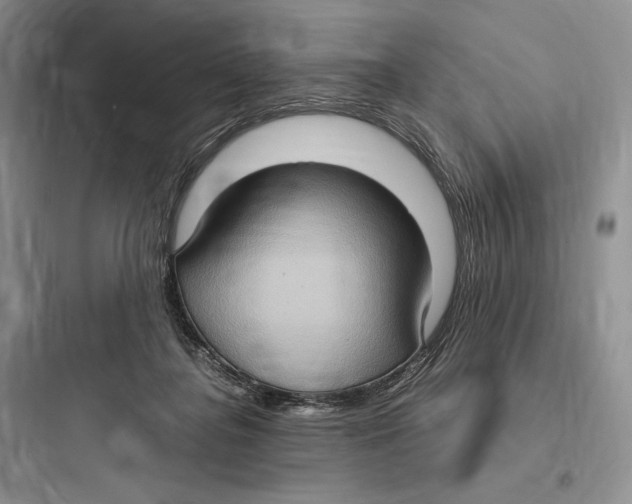 X0000097600364200803211705