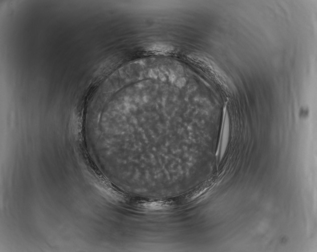 X0000097600365200803211705
