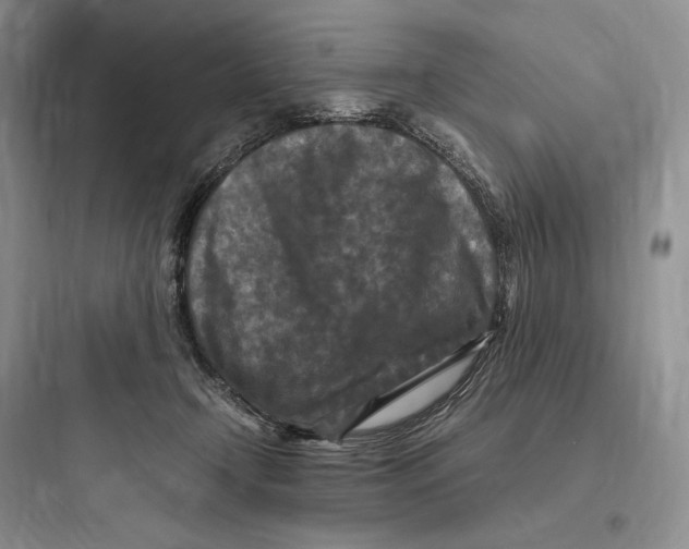 X0000097600366200803211705