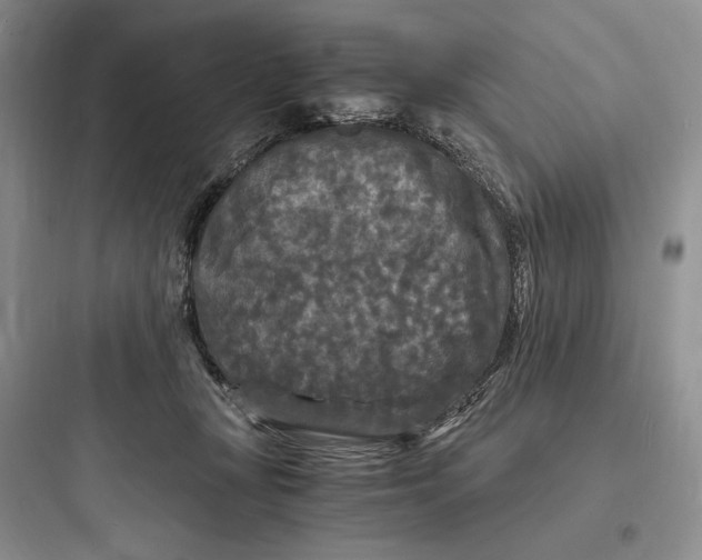 X0000097600367200803211705