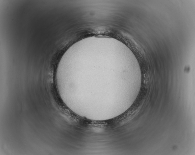 X0000097600368200803211705