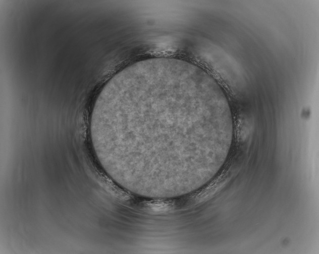 X0000097600370200803211705