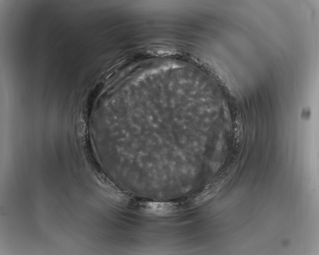 X0000097600371200803211705