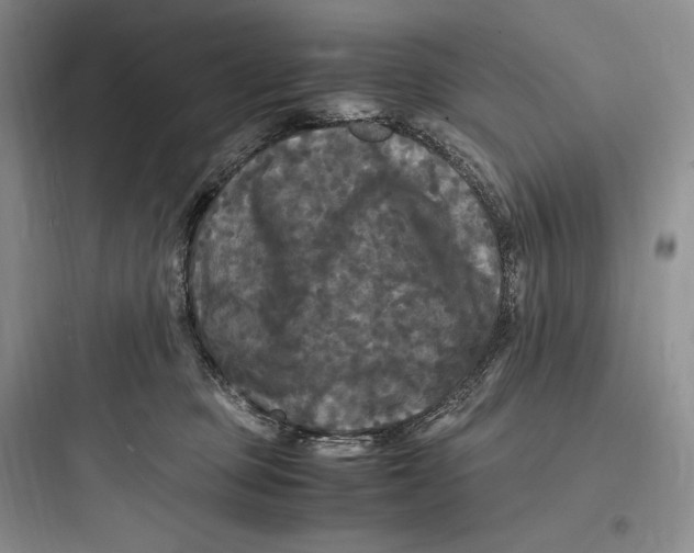 X0000097600373200803211705