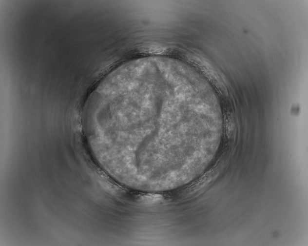 X0000097600374200803211705