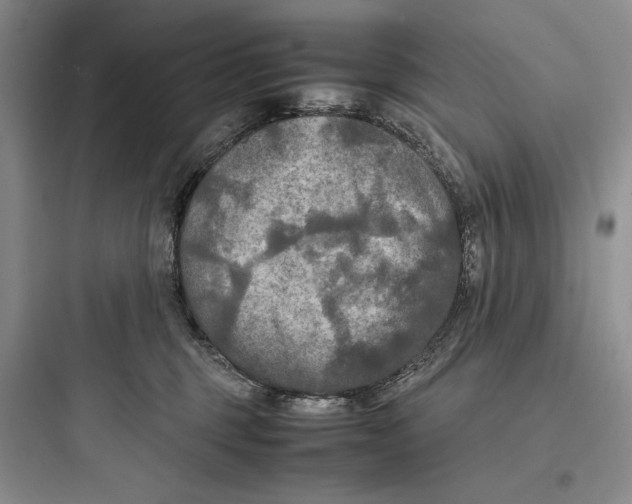 X0000097600375200803211705