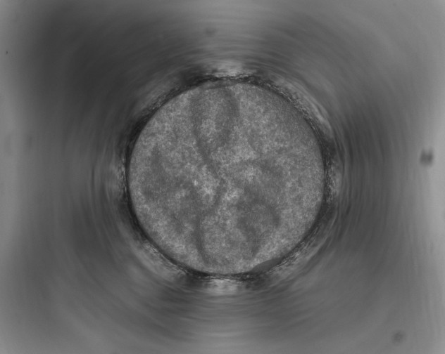 X0000097600376200803211705