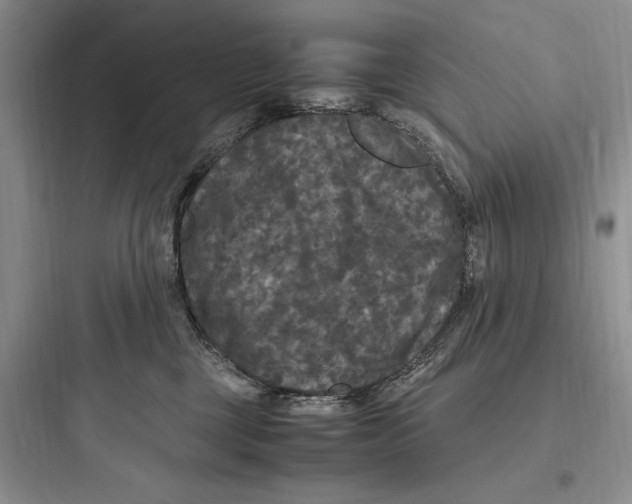 X0000097600377200803211705