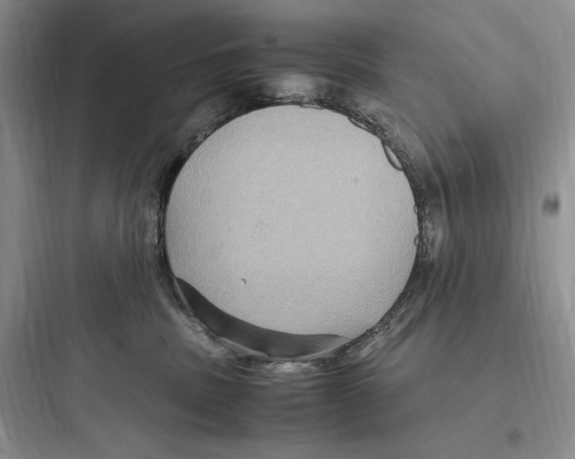 X0000097600379200803211705