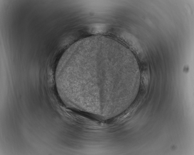 X0000097600380200803211705