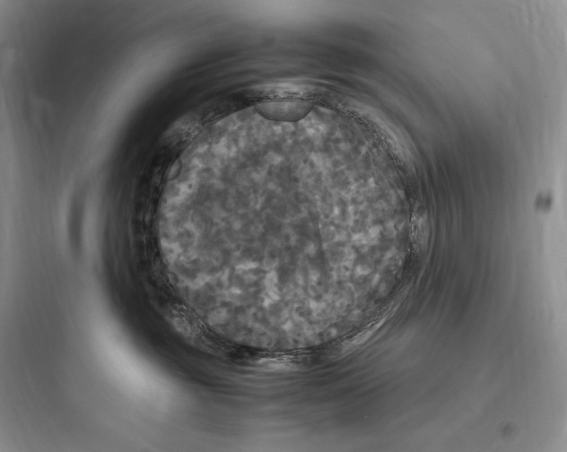 X0000097600381200803211705