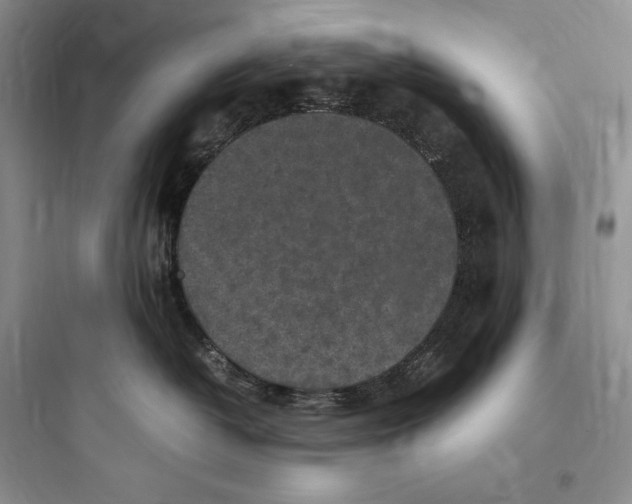 X0000097600382200803211705