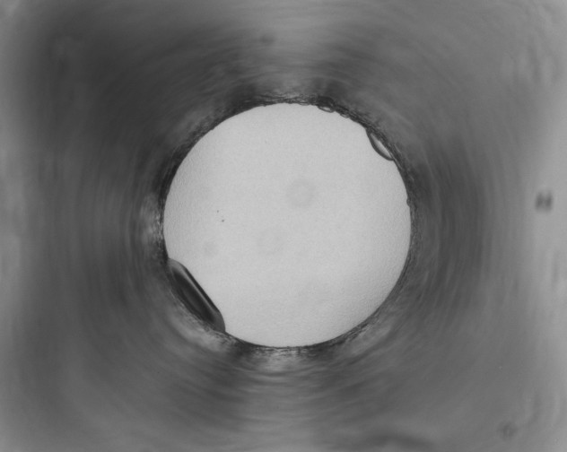 X0000097600384200803211705