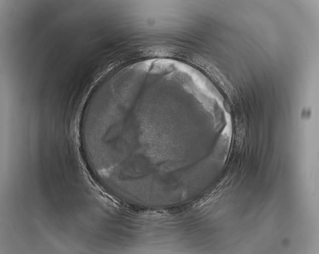 X0000097600386200803211704