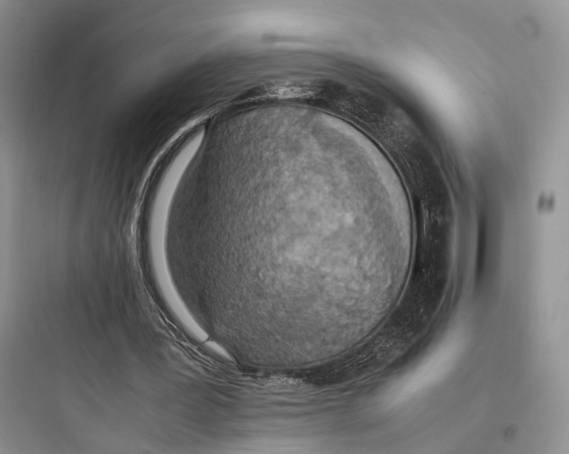 X0000097600387200803211704