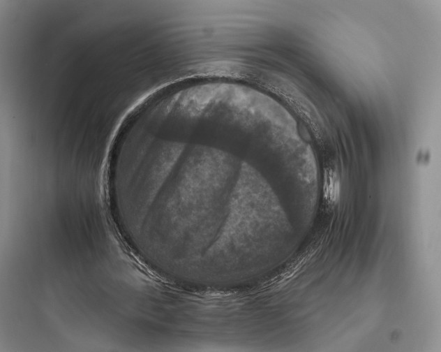 X0000097600388200803211704