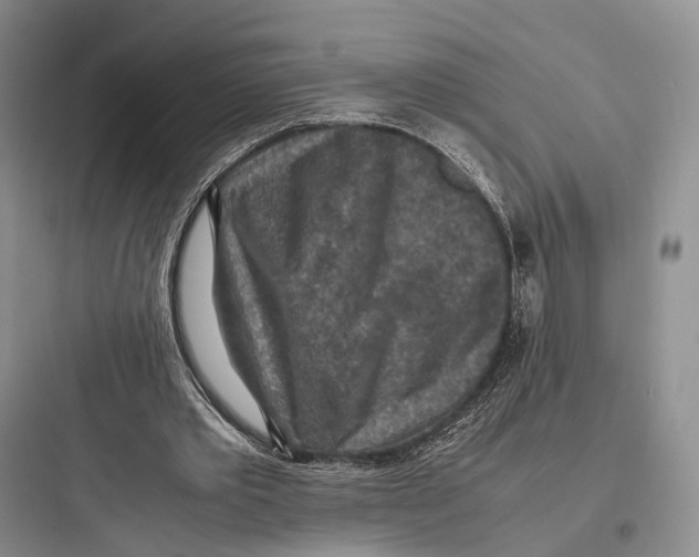 X0000097600389200803211704