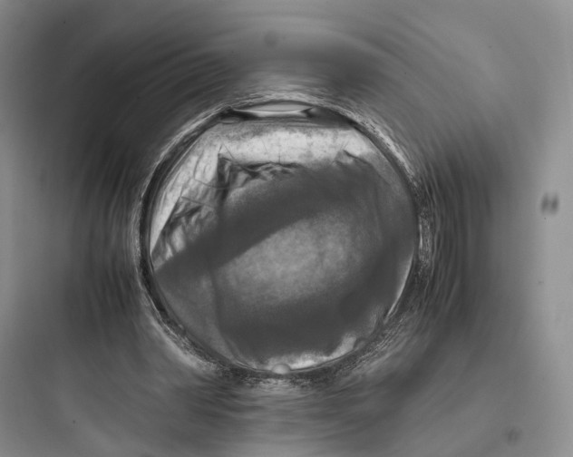 X0000097600390200803211704