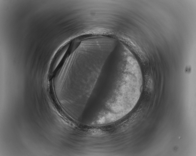 X0000097600392200803211704