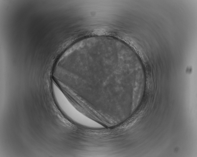 X0000097600393200803211704