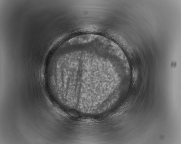 X0000097600396200803211704