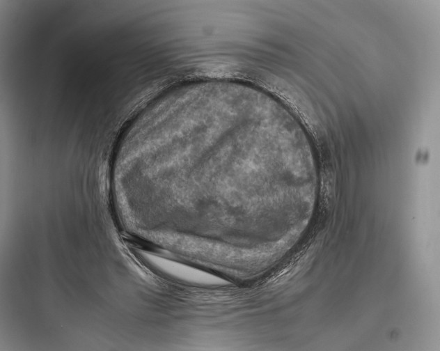 X0000097600397200803211704